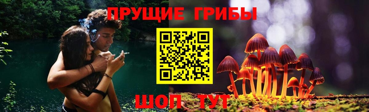 Галлюциногенные грибы мицелий  Вход с VPN  Заволжье  Псилоцибиновые грибы MAGIC MUSHROOMS 